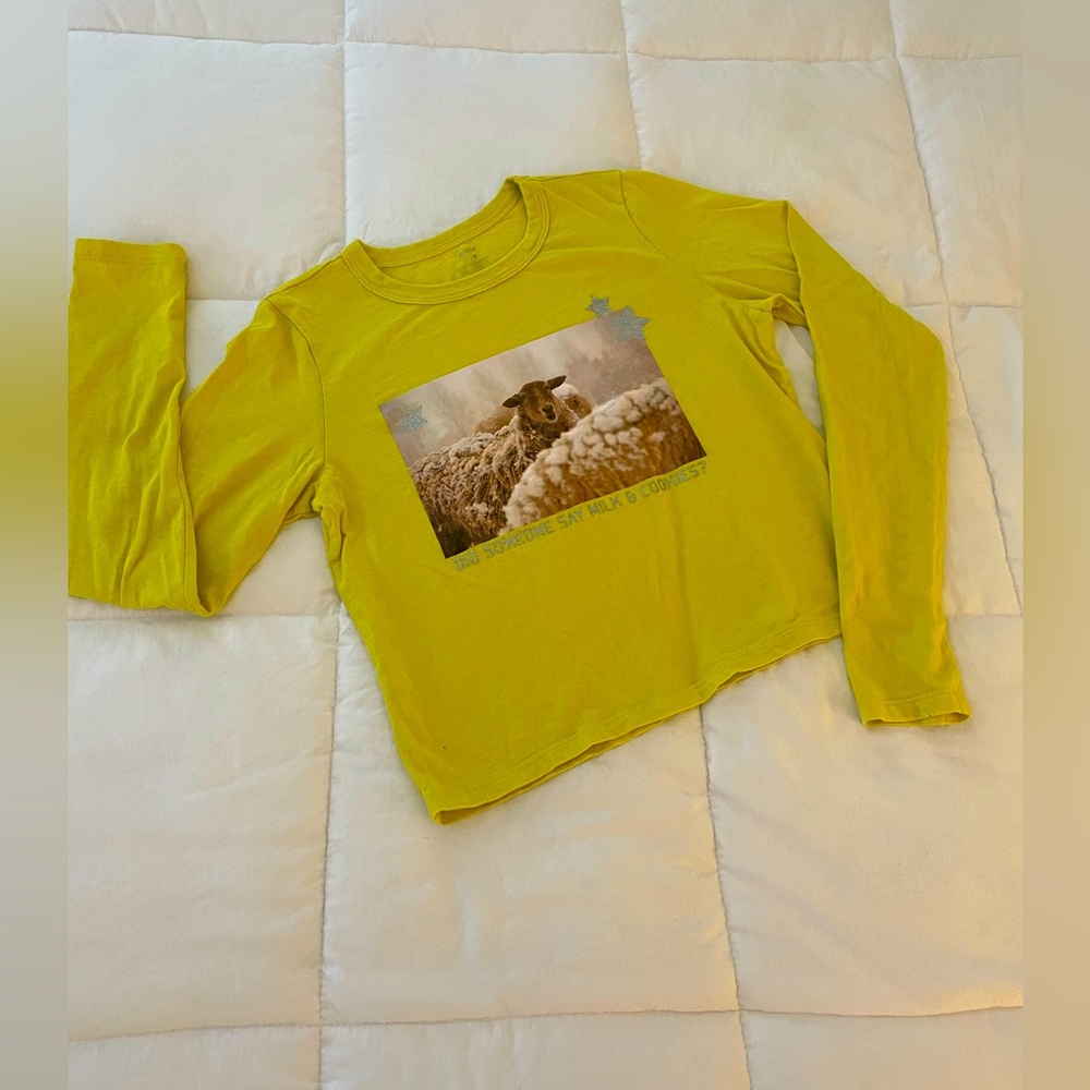 EUC aerie AE cropped long sleeve tee. Bright colored size medium
